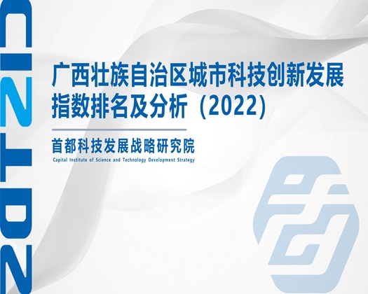 大鸡巴操女人逼【成果发布】广西壮族自治区城市科技创新发展指数排名及分析（2022）